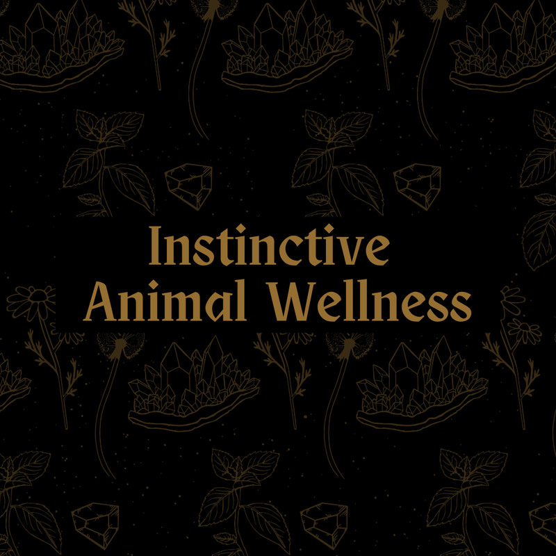 Instinctive Animal Wellness