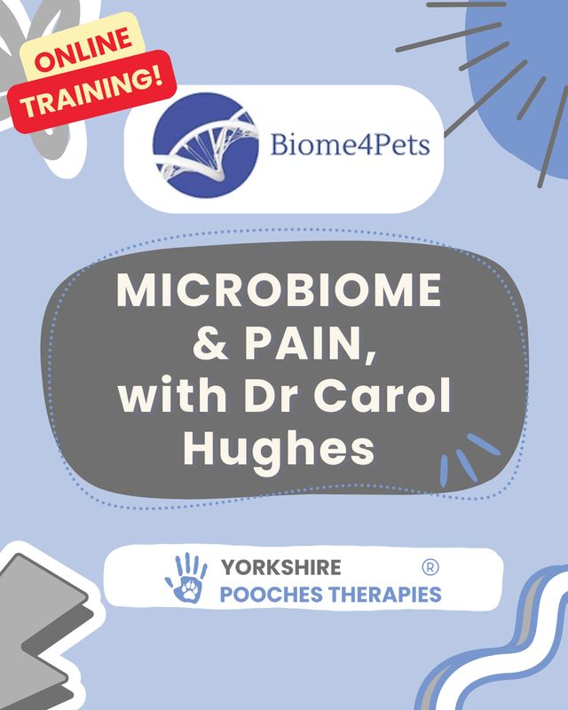 Microbiome & Pain with Dr Carol Hughes