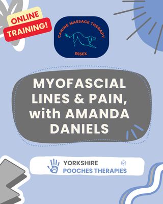Myofascial Lines & Pain 20/11/2025