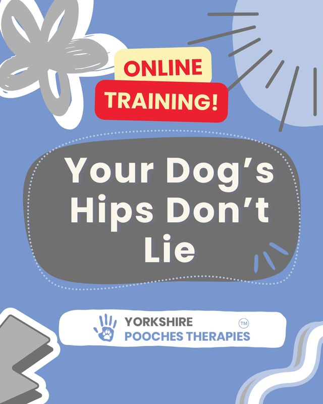 Your Dog's Hips Don't Lie