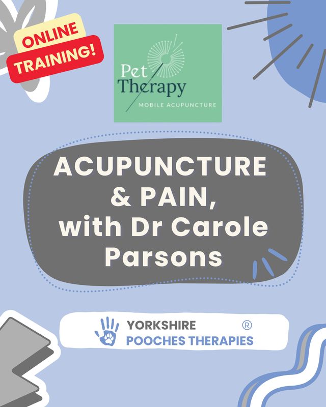 Acupuncture  & Pain with PetTherapy