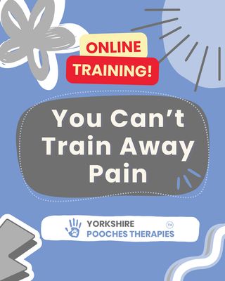 You Can't Train Away Pain