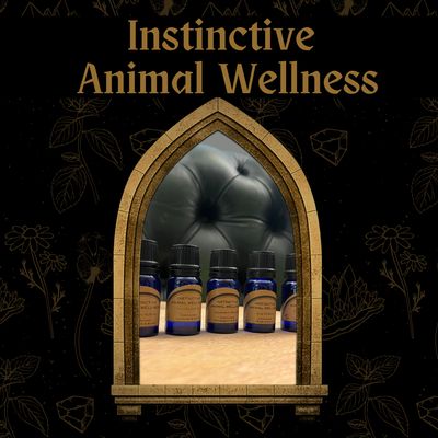 Hydrolat Kit Hydrolat Kit