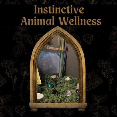 Ultimate Soul Connection Kit Ultimate Soul Connection Kit