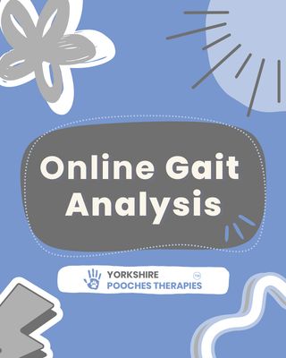 Online Gait Analysis Online Gait Analysis