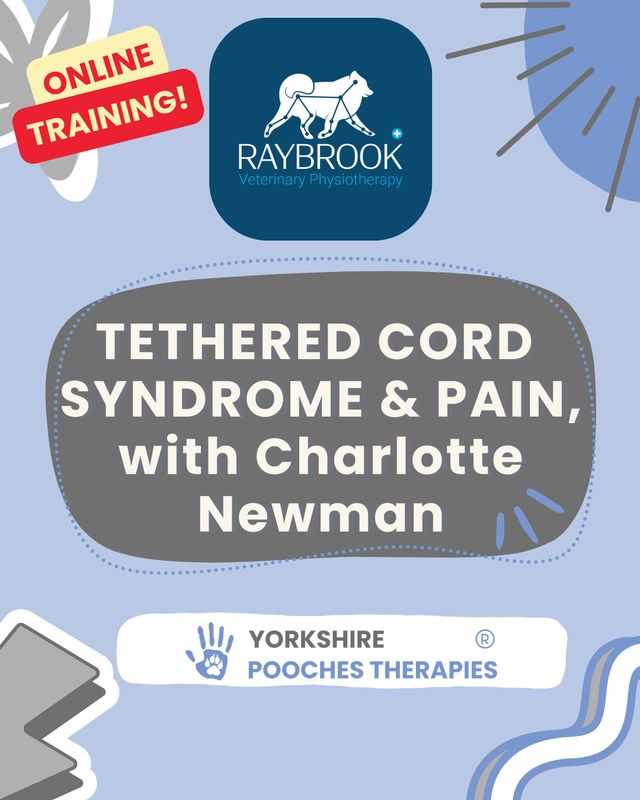 Tethered Cord Syndrome & Pain with Charlotte Newman