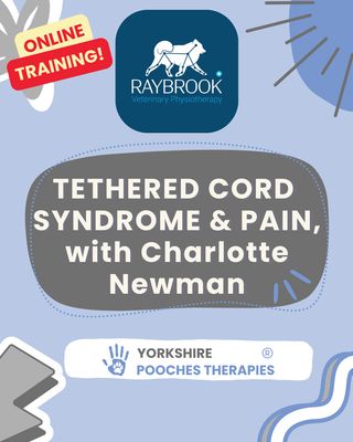 Tethered Cord Syndrome & Pain with Charlotte Newman Tethered Cord Syndrome & Pain with Charlotte Newman
