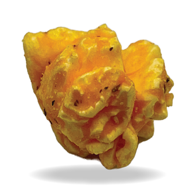 Sour Cream &amp; Cheddar