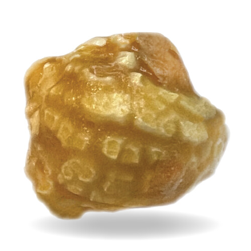Caramel