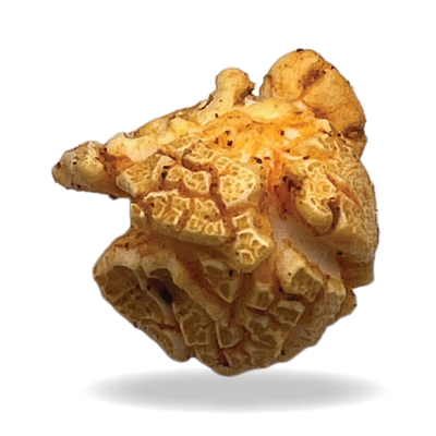 Char-Grilled Cheeseburger