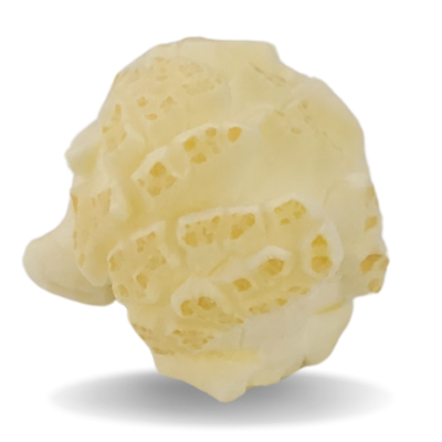 Beer Cheese