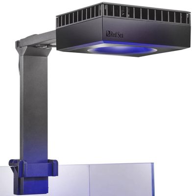 RS REEFLED 50 MOUNT