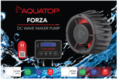 Circluation and Return Pumps