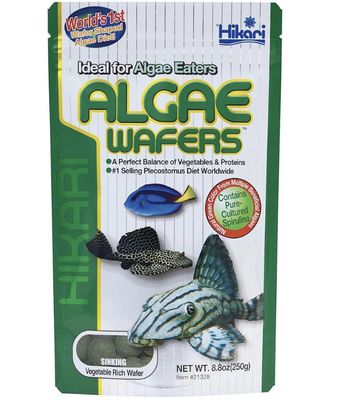 HIKARI TROP ALGAE WAFER 8.8OZ