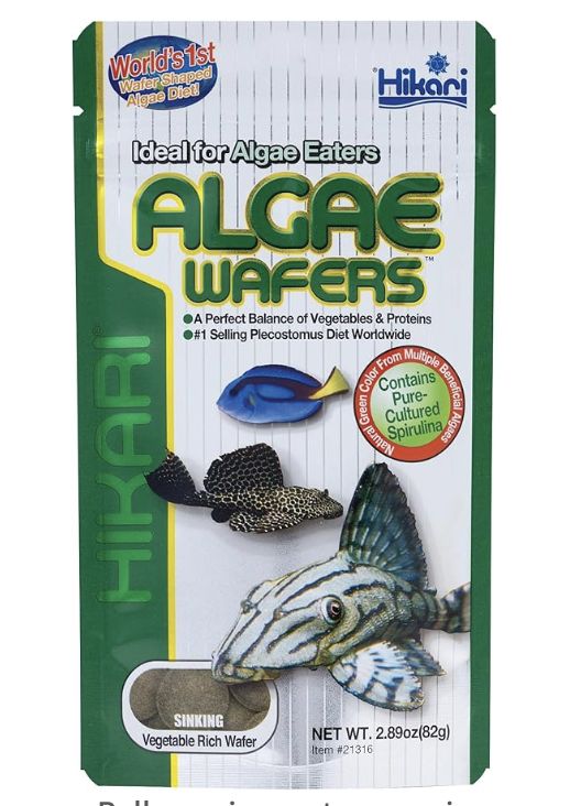 HIKARI TROP ALGAE WAFER 2.89OZ