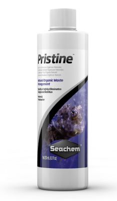 SCM PRISTINE 100ml