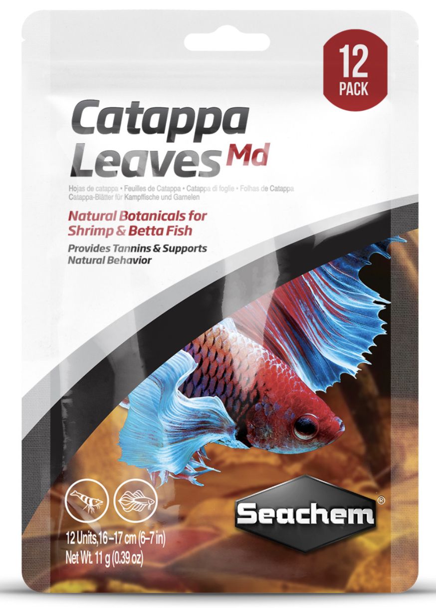 SLI Catappa Leaves Med 12pk