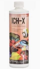 HIKARI ICH X 16OZ