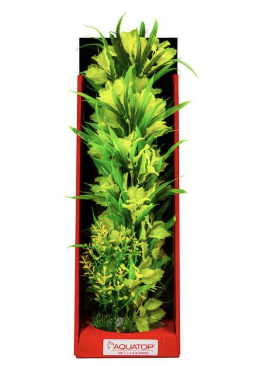 AQT Plant Passion Yellow