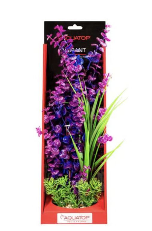 AQT PLNT PURPLEBERRY 16&quot;