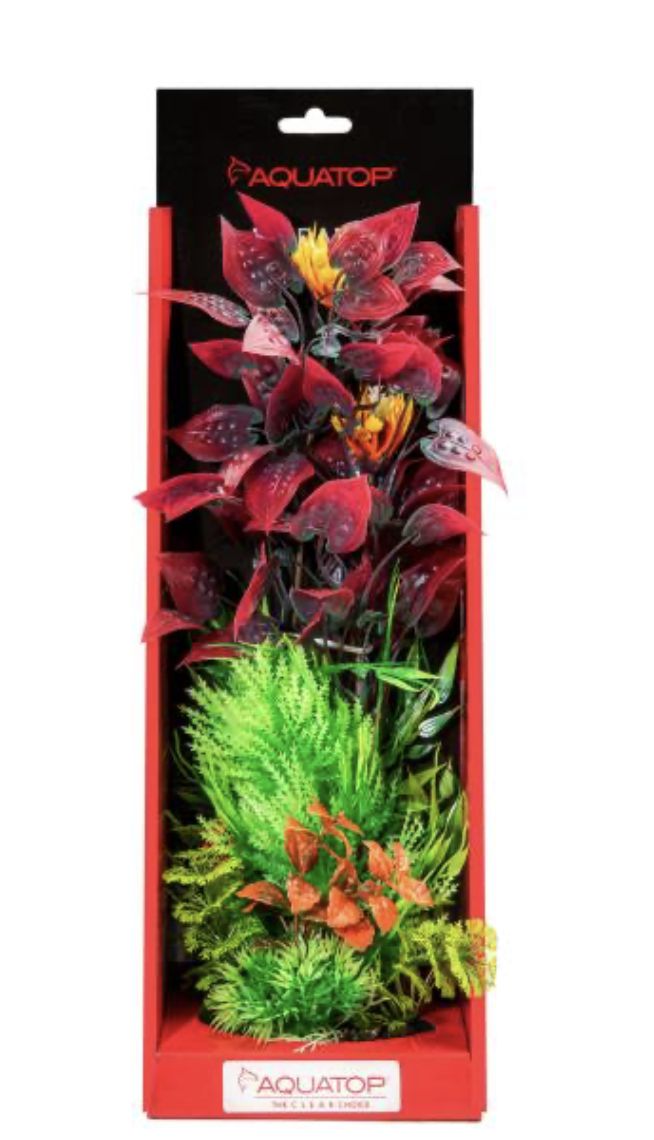 AQT PLNT WILD MIX RED