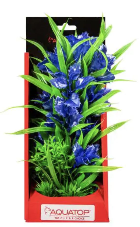 AQT PLNT BLUE
