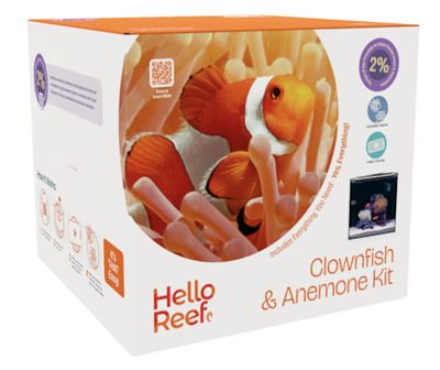 Hello REEF Kit