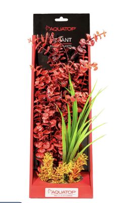 AQT PLANT WILD RED