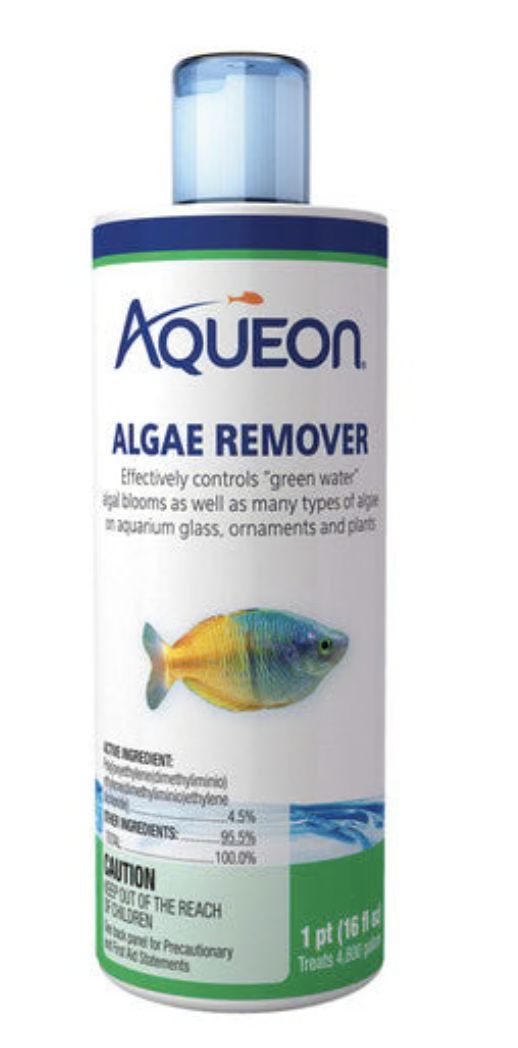 AQE ALGAE REMOVER 16oz