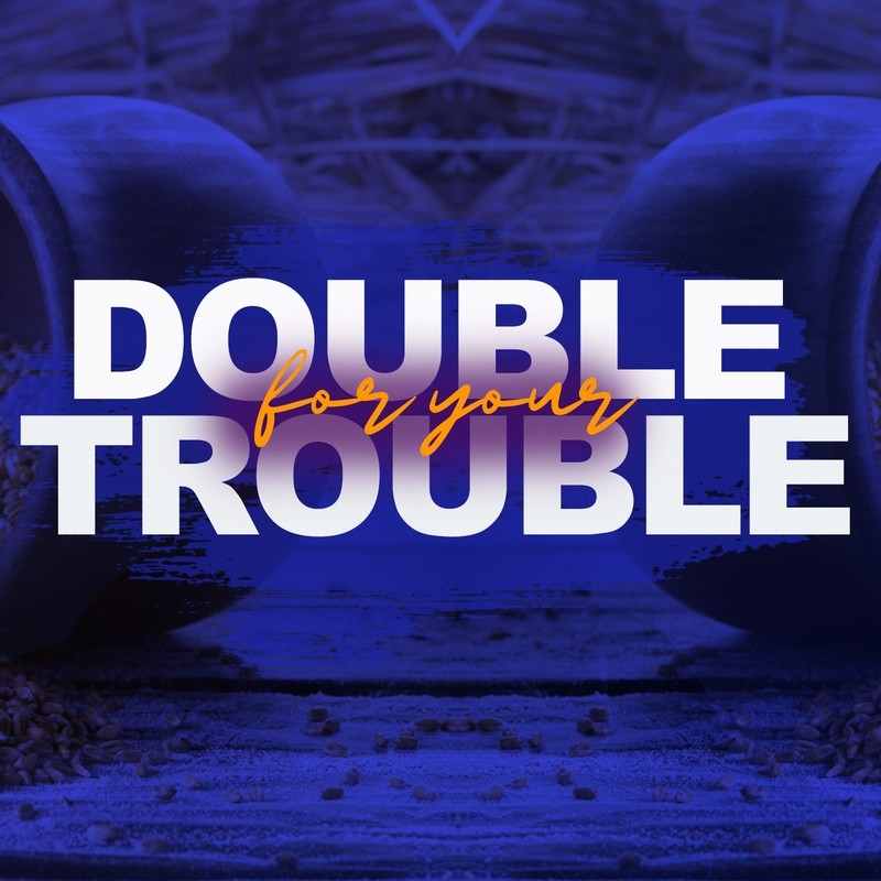 Double for Your Trouble-DVD Series