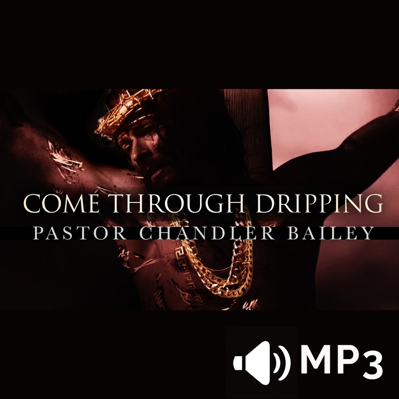 Come Through Dripping Part 2