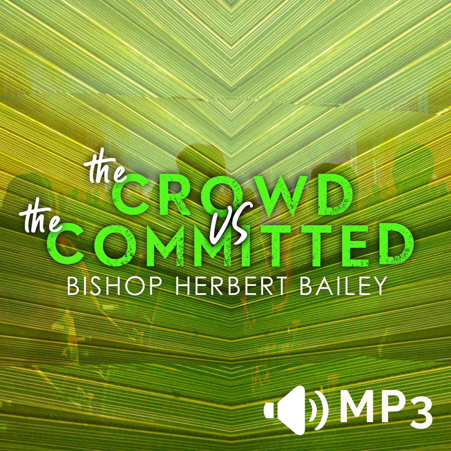 The Crowd vs The Committed