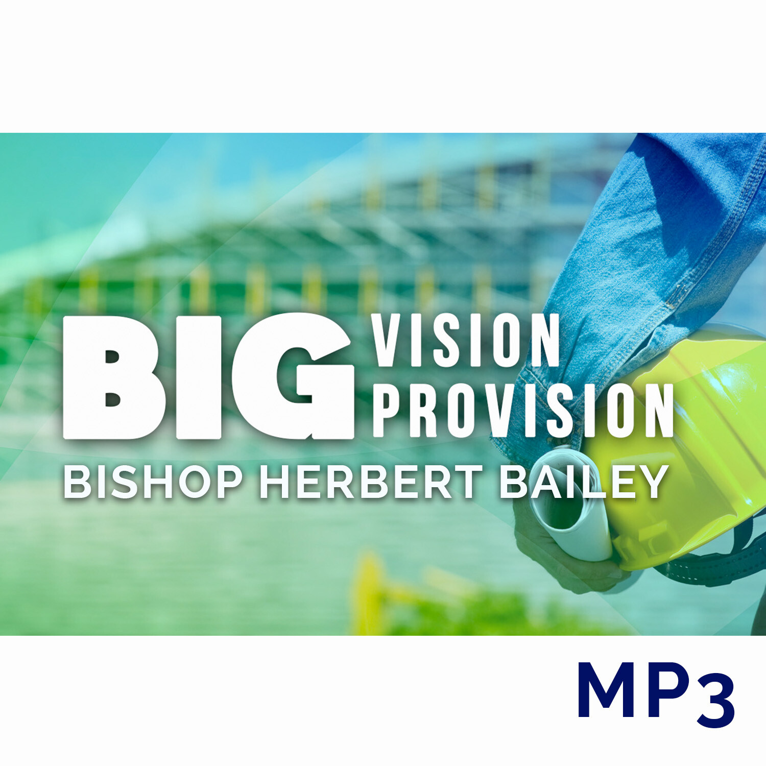 Big Vision Big Provision