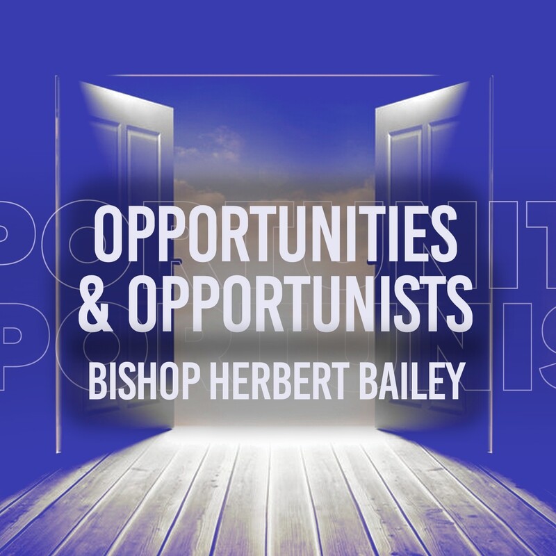 Opportunities and Opportunists Part 2