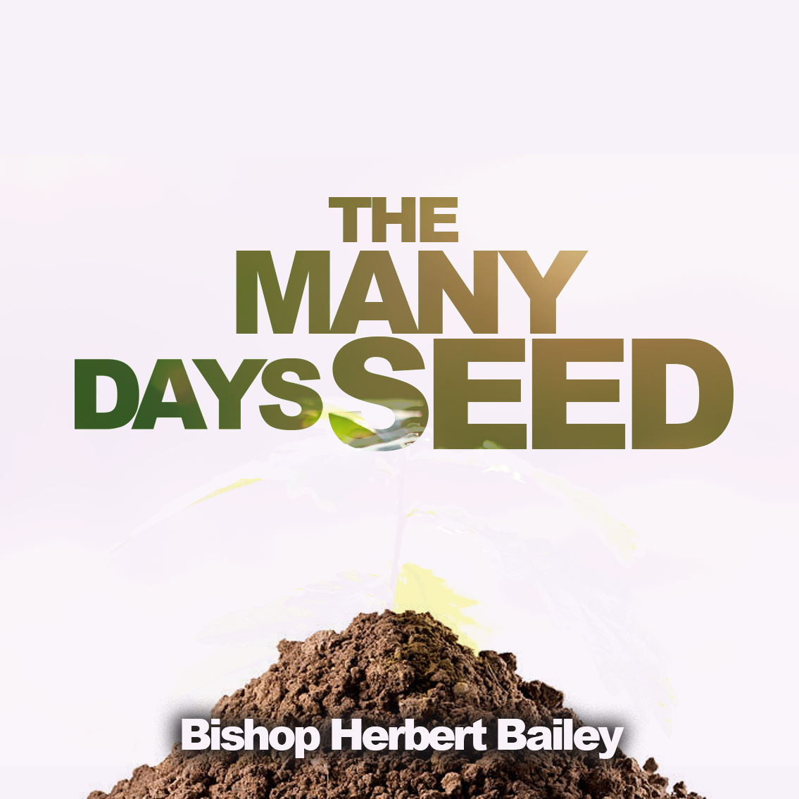 The Many Days Seed