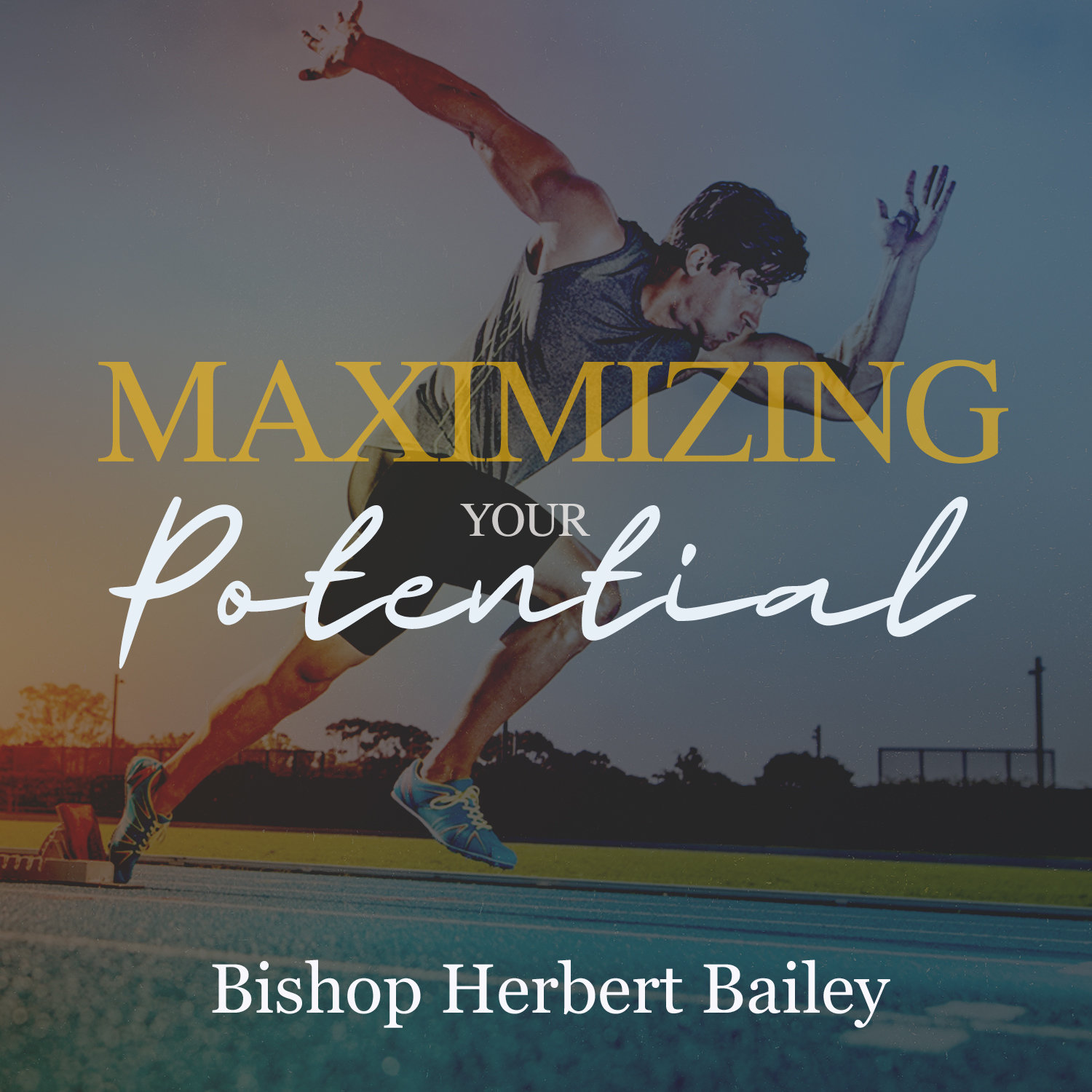 Maximizing Your Potential-DVD Series