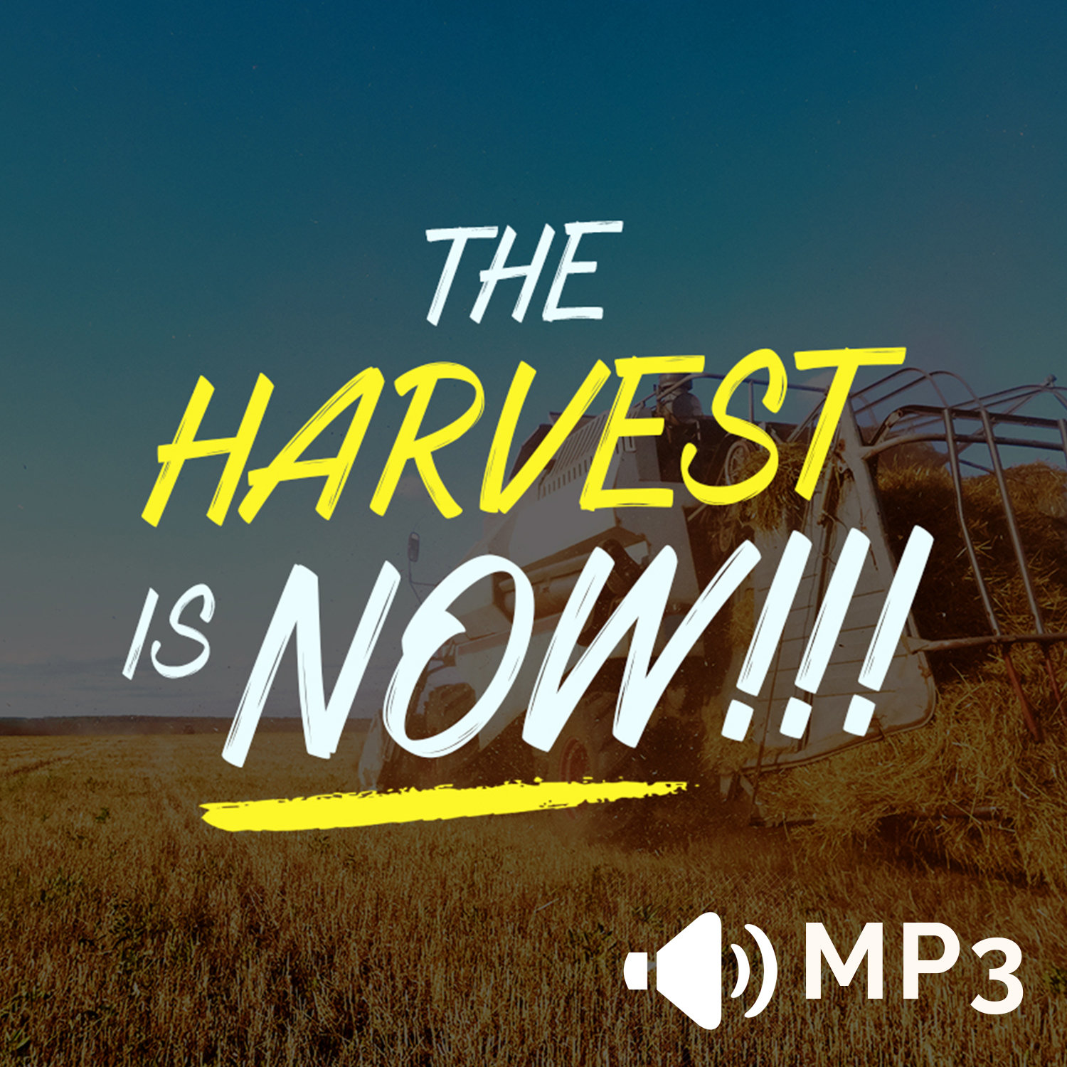 The Harvest is NOW!!!