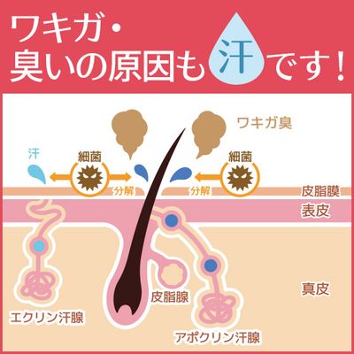 AHCセンシティブ30ml 2本セット
