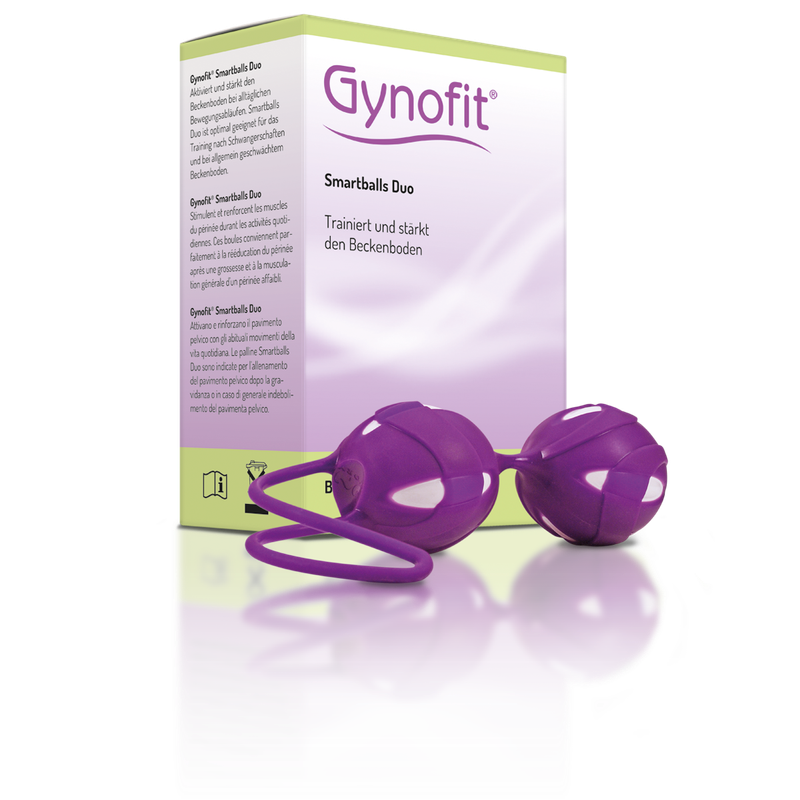 ギノフィット スマートボールデュオ