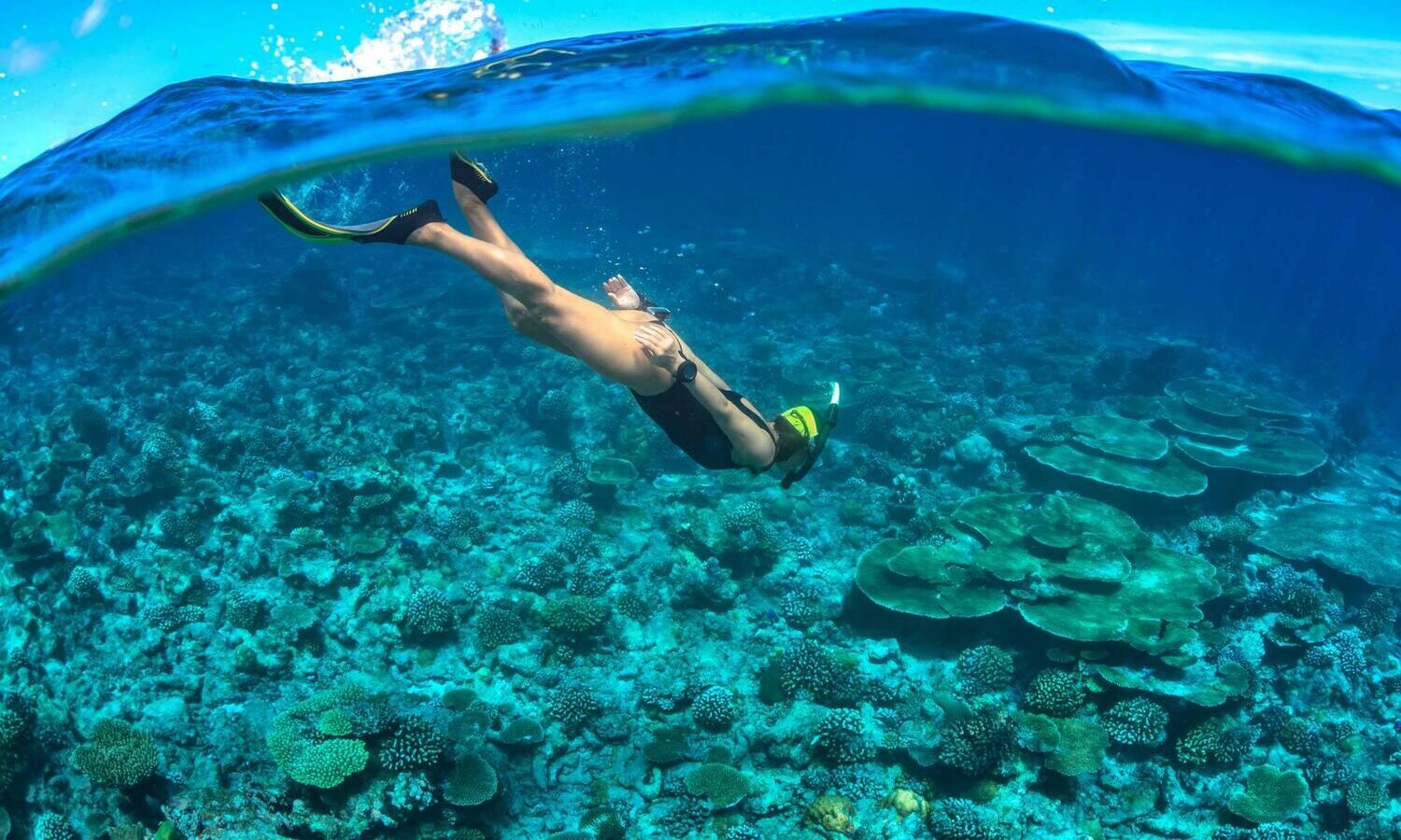 Tuklas Freediving (Intro to Freediving)