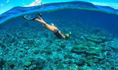 Tuklas Freediving (Intro to Freediving)