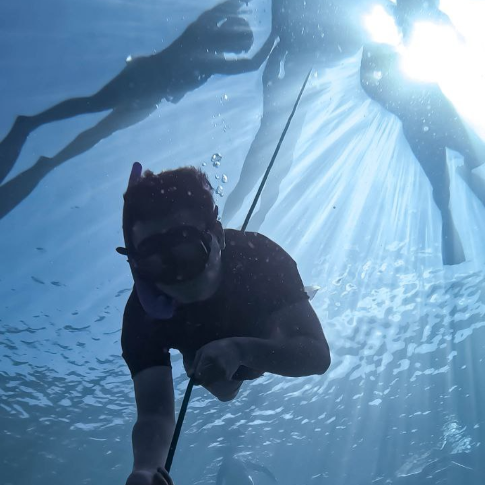 Practice Dive
