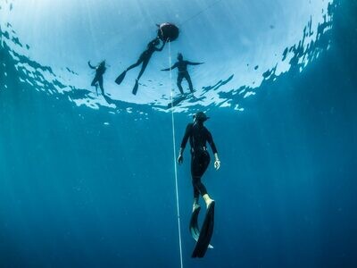 Freediving Roadmap for Beginners to Masters