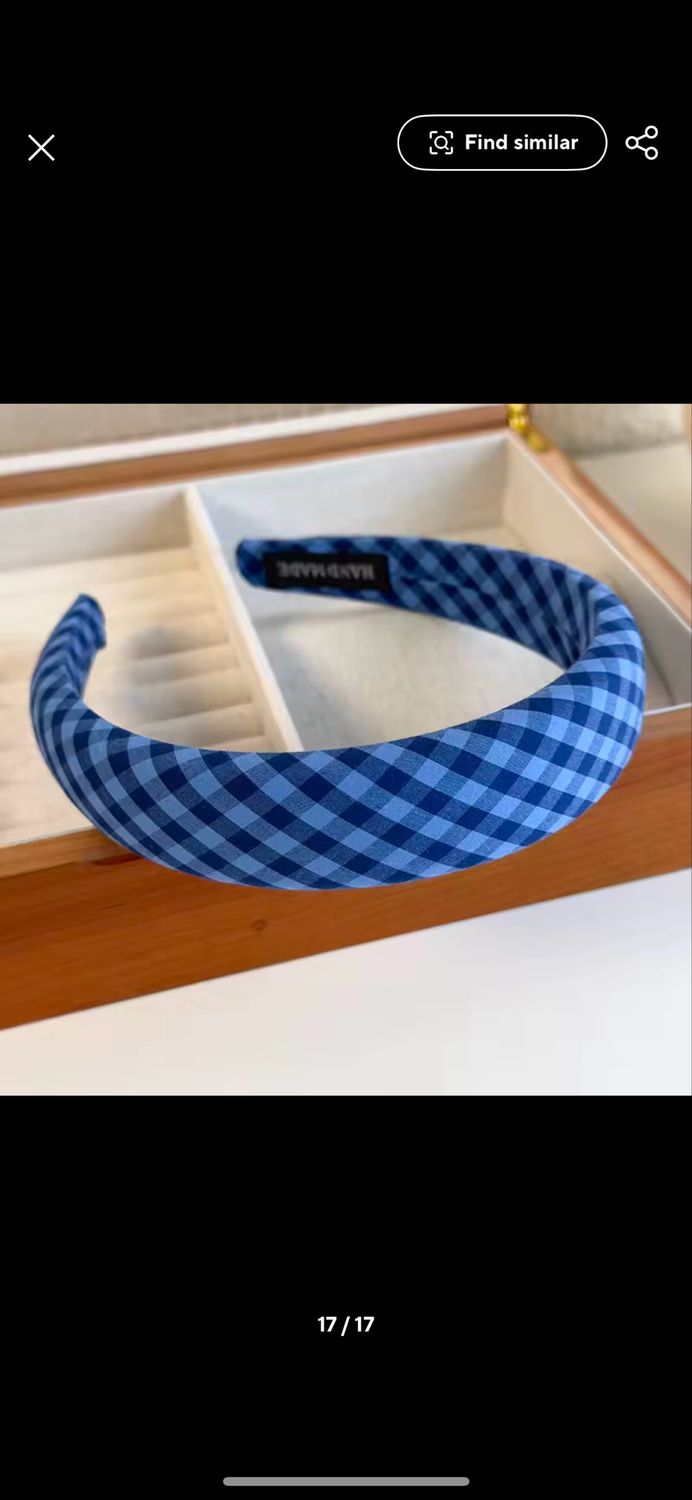 Elegant Blue Headband 2