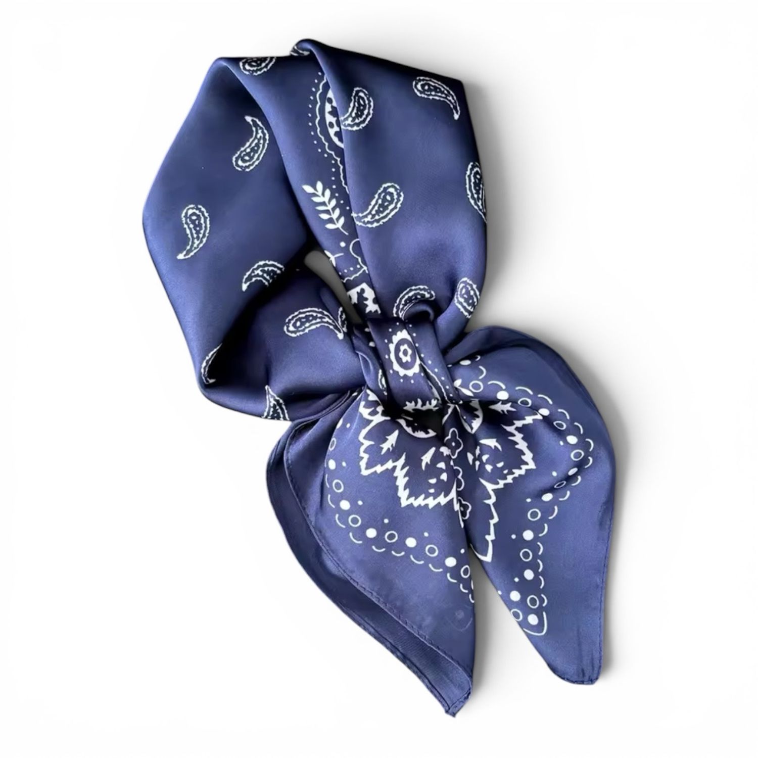 Blue Paisley