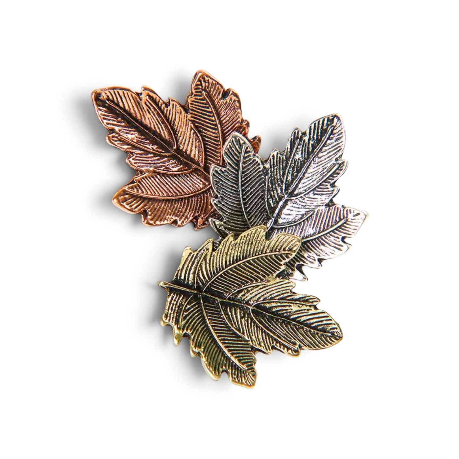Autumn leaves