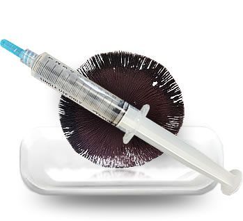 Spore Syringes