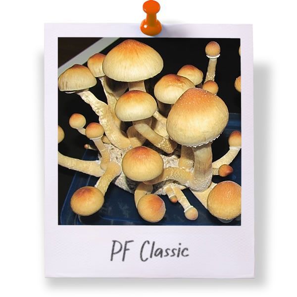 PF Classic