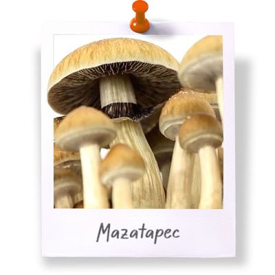 Mazatapec