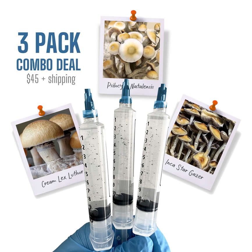 3 Pack Combo Deal - CREAM | NATA | GAZER